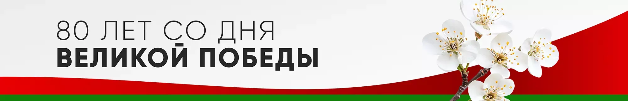 80 лет со дня Великой Победы 80 лет со дня Великой Победы