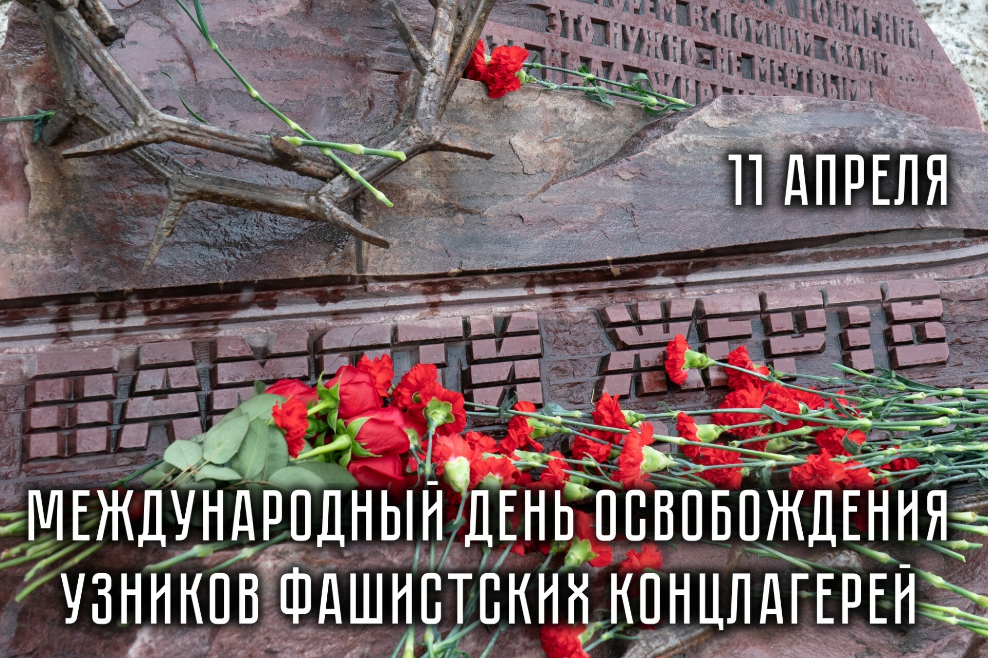 Нажмите чтобы открыть